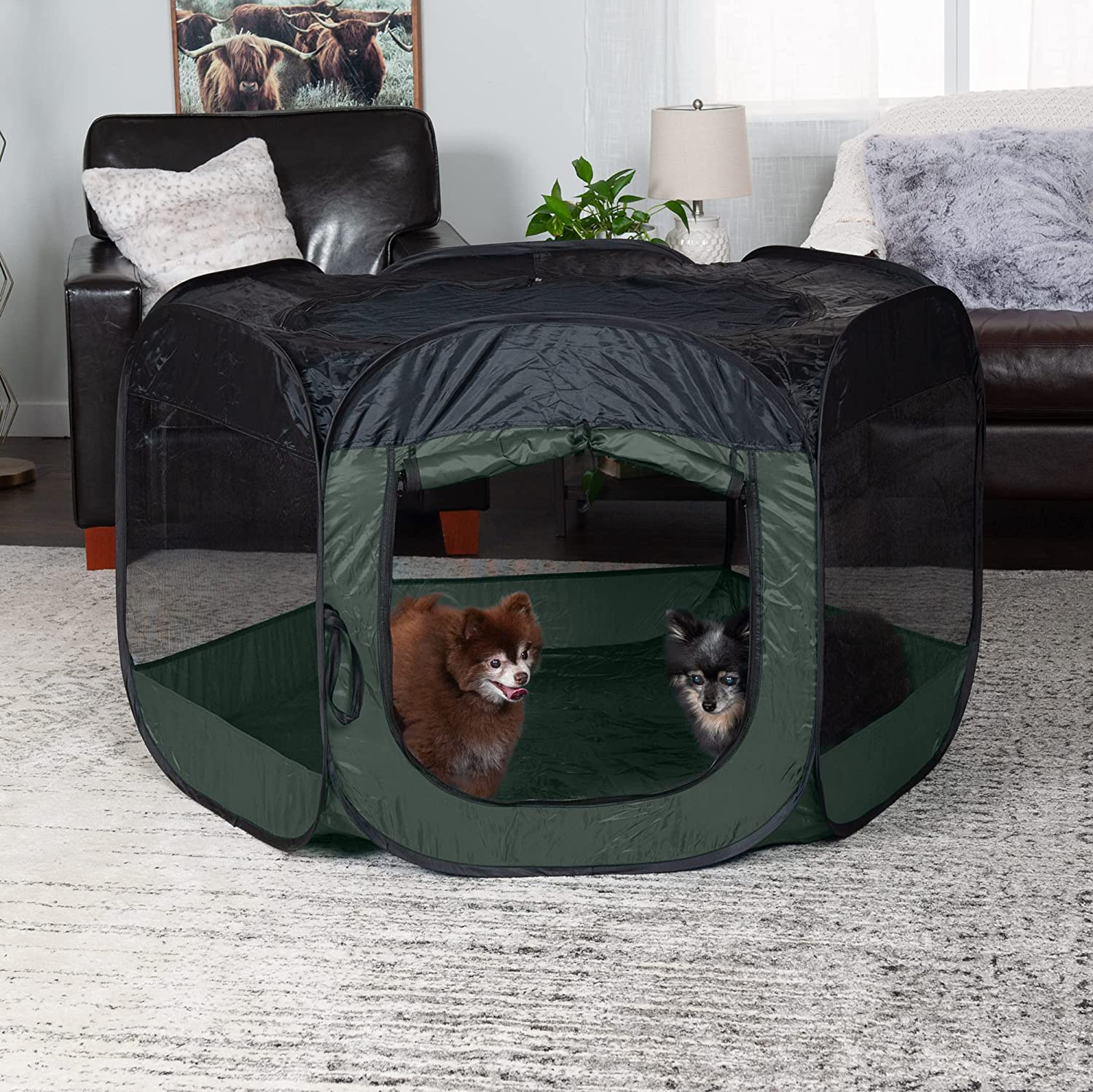 Furhaven Indoor-Outdoor Pop up Exercise Playpen Pet Tent Playground for Small, Medium, and Large Dogs and Cats - Multiple Colors and Sizes