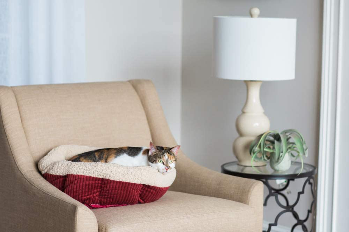 ASPEN PET Self Warming Beds Animals & Pet Supplies > Pet Supplies > Cat Supplies > Cat Beds Petmate   