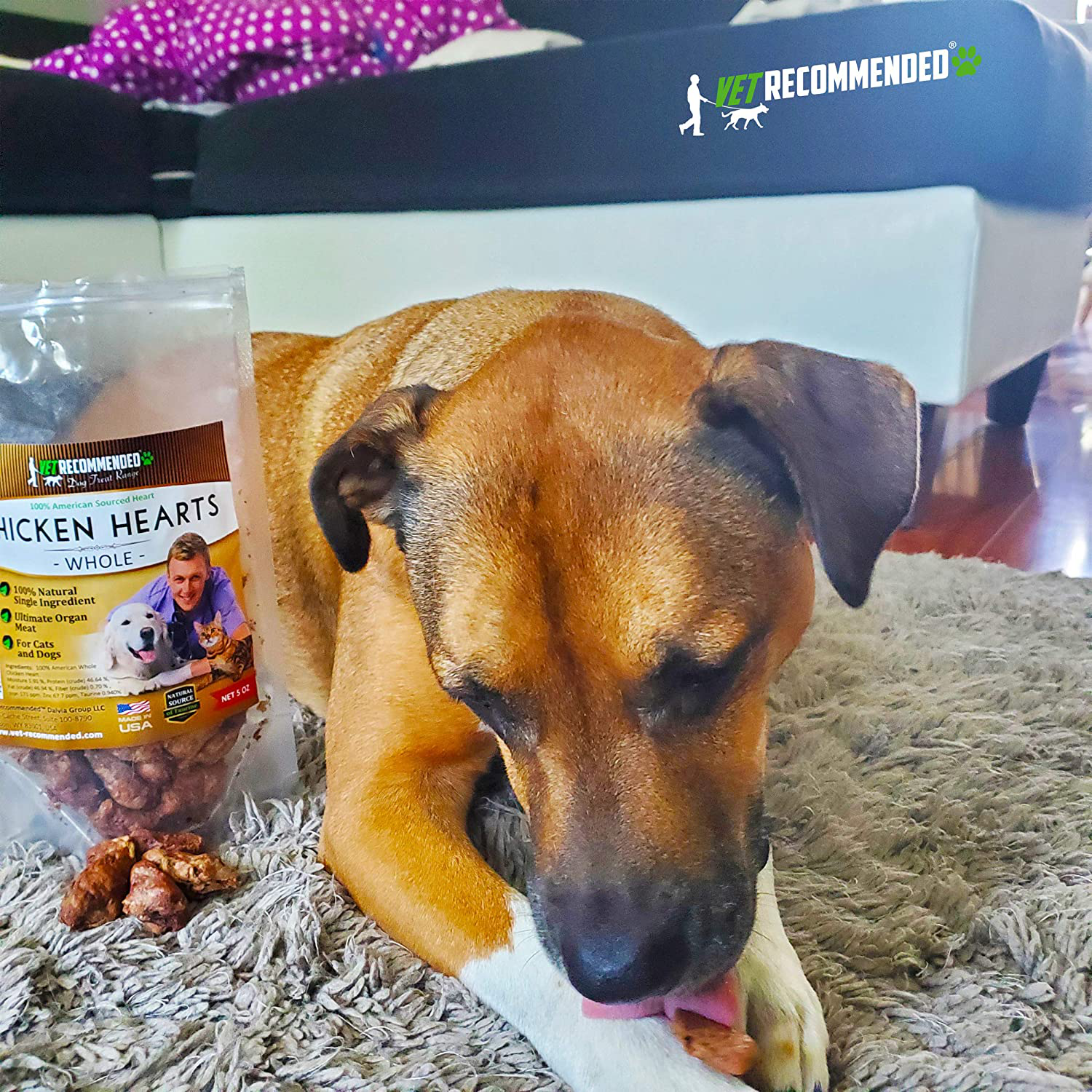 Vet Recommended - Whole Chicken Hearts for Dogs & Cats (Giant 5Oz Bag) - Freeze Dried All Natural Dog Treats - Perfect Organ Meat for Dogs & Cats - Human Grade - Natural Source of Taurine - USA Made Animals & Pet Supplies > Pet Supplies > Bird Supplies > Bird Treats Vet Recommended   