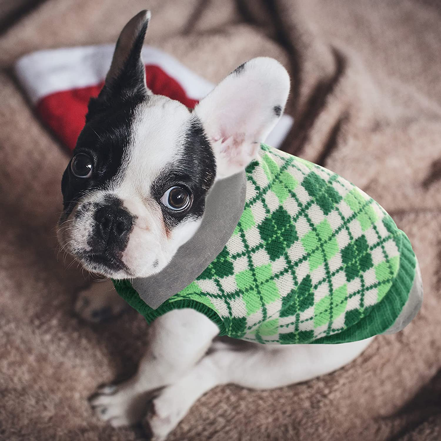 LETSQK Dog Sweater Dog Knitted Pet Clothes Classic Dog Winter Outfit with Plaid Argyle Patterns Warm Dog Sweatshirt with Polo Collar for Small Medium Puppies Dogs Cats