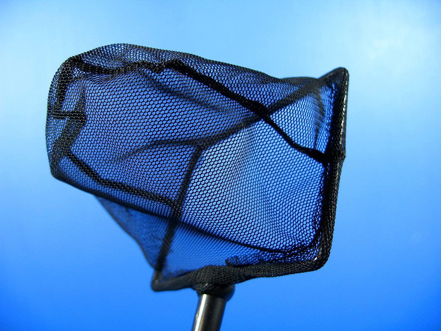Aquarium Adjustable Fish Net 3.9"X2.75" Fine Mesh Stainless Steel Handle Shrimp Fish Tank Animals & Pet Supplies > Pet Supplies > Fish Supplies > Aquarium Fish Nets CORISRX BEST OF YOUR LIFESTYLE   