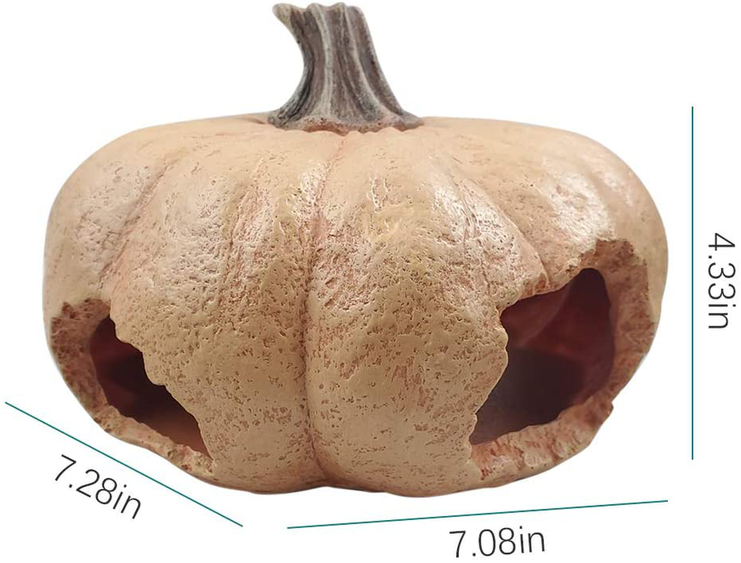 Creation Core 3 Holes Reptile Shelter Large Unique Pumpkin Reptile Hideout for Reptiles Lizards Habitat Turtles Hideout Tortoise Supplies Habitat Snake Cave Large Animals & Pet Supplies > Pet Supplies > Small Animal Supplies > Small Animal Habitat Accessories Creation Core   