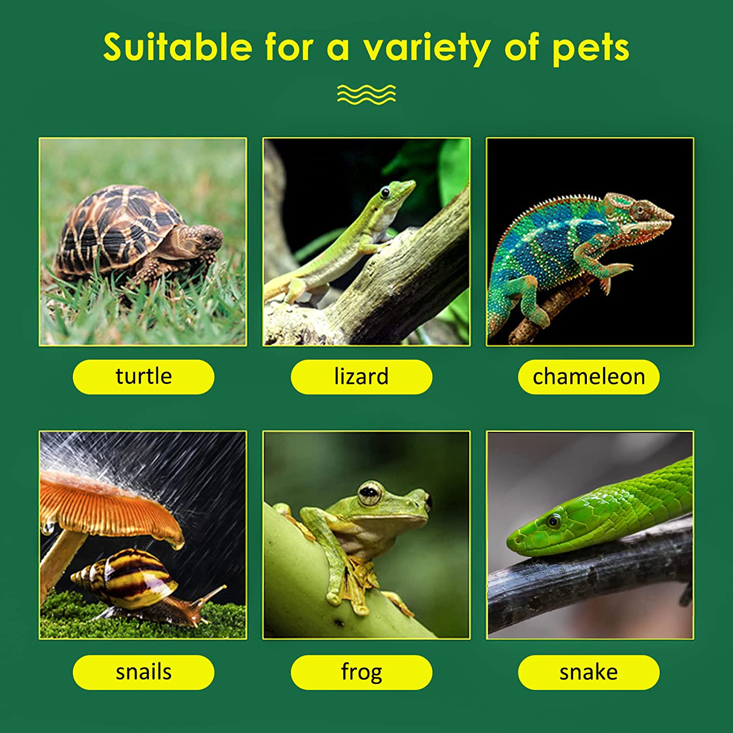 Reptile Humidifier , Smart Touch Timing Adjust Humidity Reptile Humidifier Atomizer with Double Extension Tube/Hose, Suitable for All Kinds of Reptiles/Amphibians (4L)