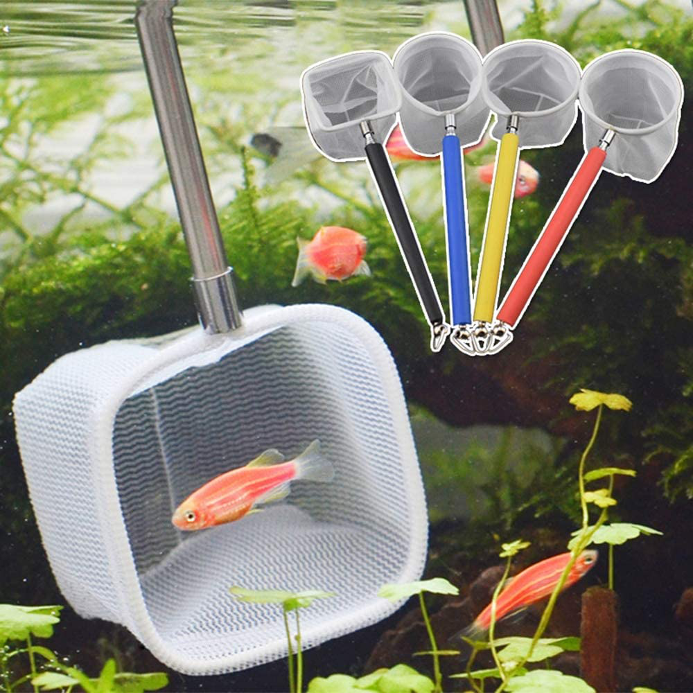 Wedai Flexible Retractable Aquarium Supplies Catch Net Cleaning Tool Stainless Steel Fish Tank Cleaning Gadgets Fishnet Fish Tank Accessory(Square) Animals & Pet Supplies > Pet Supplies > Fish Supplies > Aquarium Fish Nets WeDai   