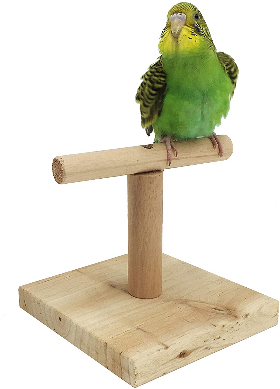 MINORPET Birds Stand, Wood Bird Perch Training Playstand Playground Play Gym for Parrots/Lovebirds/Cockatiels/Parakeets and More Animals & Pet Supplies > Pet Supplies > Bird Supplies > Bird Cage Accessories MINORPET Square Base  