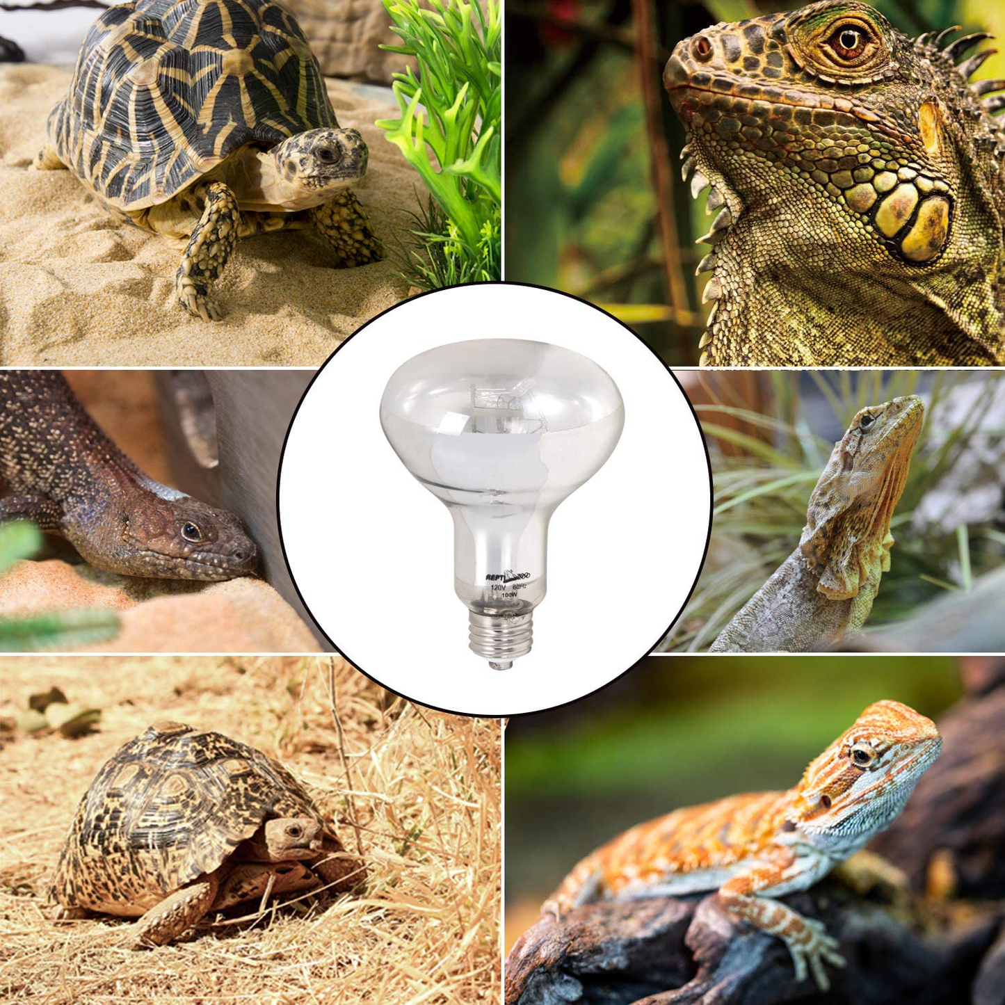 REPTI ZOO Reptile Heat Lamp 100W Full Spectrum UVA UVB Reptile Sun Lamp Self-Ballasted Vapor Basking Spot Lamp/Bulb/Light for Reptile and Amphibian