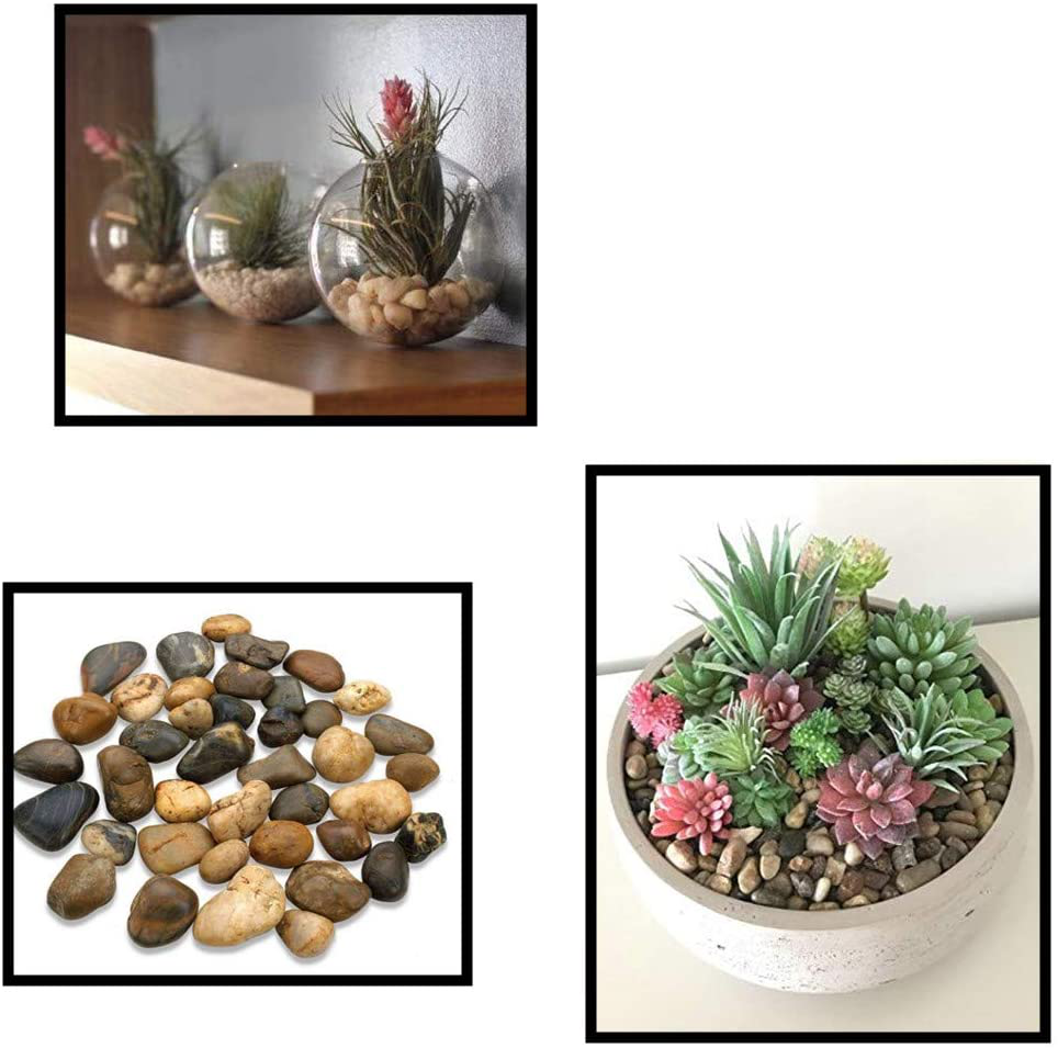 Natural Stones and Pea Gravel Terrarium Supplies for Indoor Plants  Succulent Planter Pots Air Plant Accessories Aquarium Decoration Rocks 