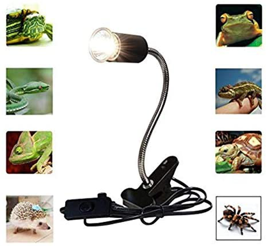 Flexible Clamp Lamp Fixture for Reptiles. Terrarium Habitat Lighting & Heat Lamp Holder Stand，Uva UVB Light Bulb Reptile Ceramic Heat Lamp Pet Heating Bulb Holder，Clamp Lamp Fixture Adjustable （Black） Animals & Pet Supplies > Pet Supplies > Reptile & Amphibian Supplies > Reptile & Amphibian Habitat Heating & Lighting HoneyCare   