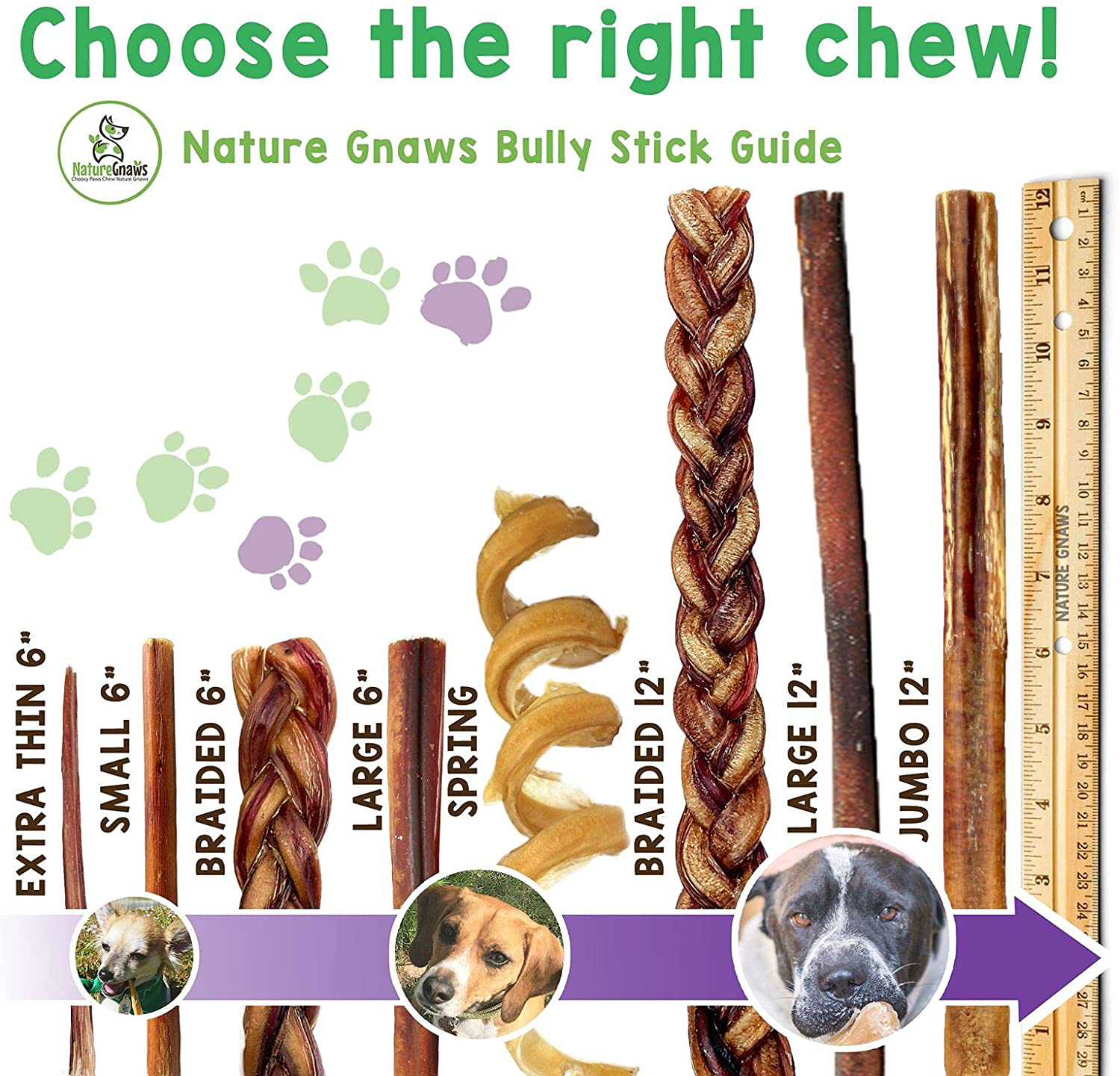 Nature Gnaws 12 Inch Bully Sticks for Dogs - Premium Natural Tasty Beef Bones - Simple Long Lasting Dog Chew Treats - Rawhide Free Animals & Pet Supplies > Pet Supplies > Small Animal Supplies > Small Animal Treats Nature Gnaws   