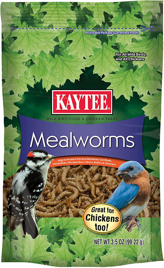 Kaytee Mealworm Food Pouch Animals & Pet Supplies > Pet Supplies > Bird Supplies > Bird Treats Kaytee 3.5 Ounce (Pack of 1)  