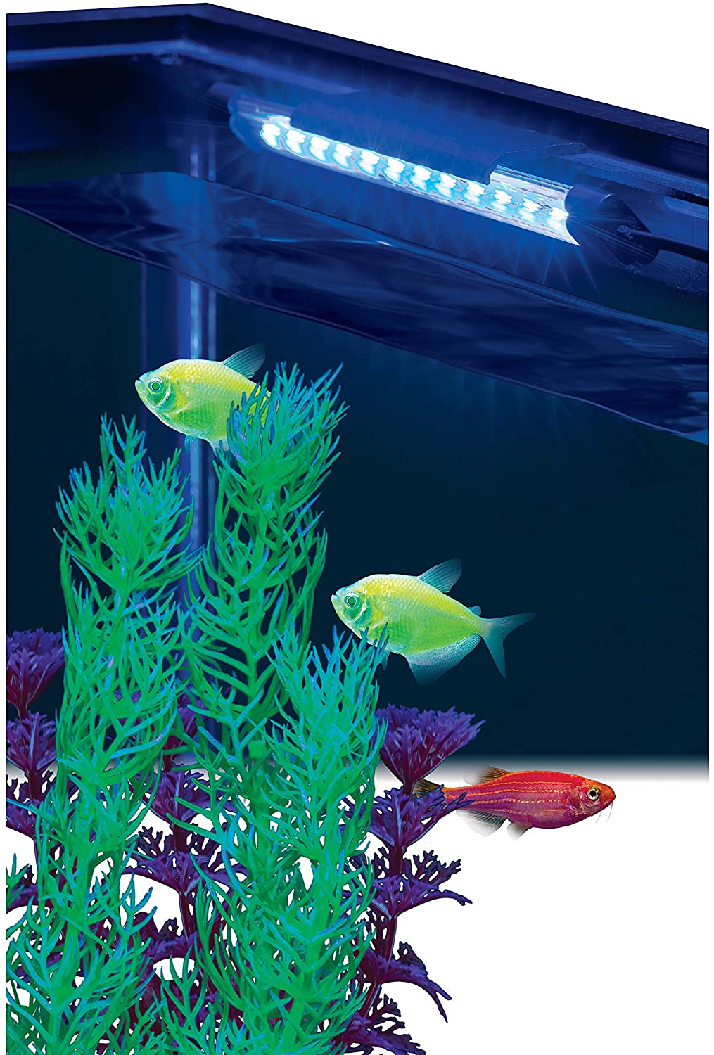 Glofish Blue LED Light 6 Inch, for Aquariums up to 10 Gallons Animals & Pet Supplies > Pet Supplies > Fish Supplies > Aquarium Lighting GloFish   