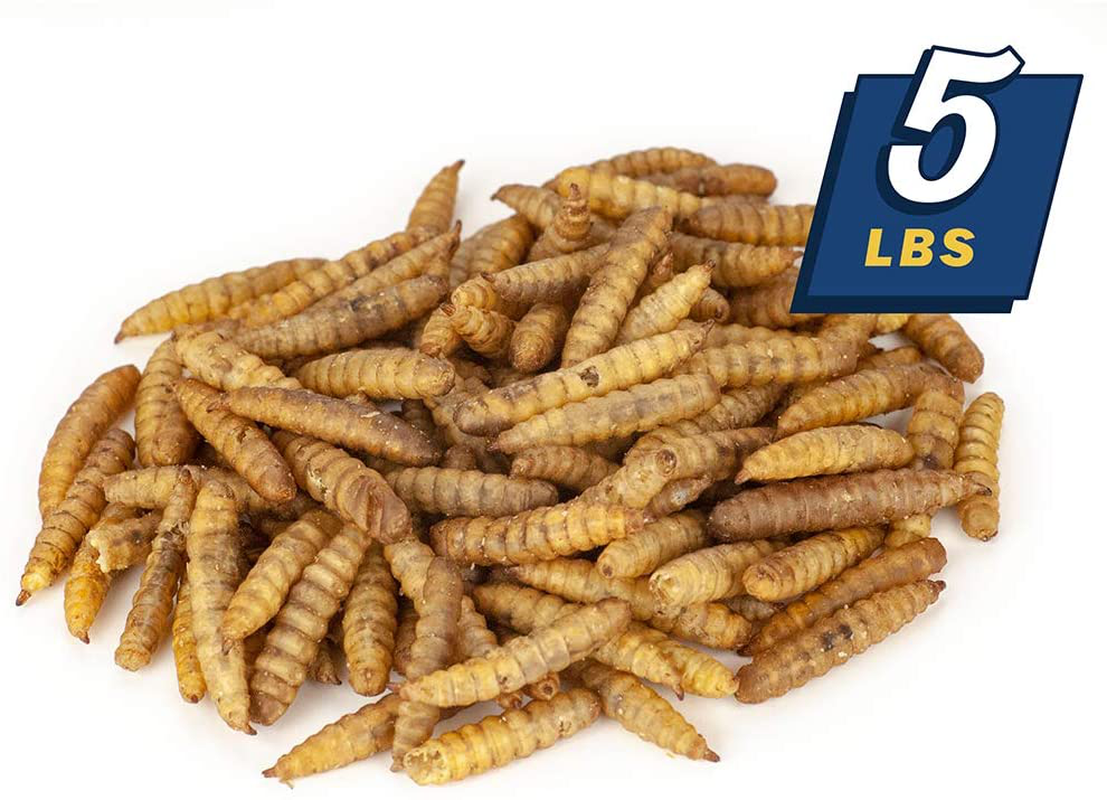 North American Grown Dried Black Soldier Fly Larva (5 Lbs) - More Calcium than Mealworms - Treats for Chickens, Wild Birds, & Reptiles