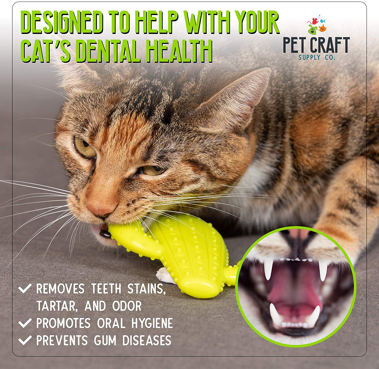 Pet Craft Supply Cactus Interactive Cat Toy Chew Toy Teeth Cleaning Bite Resistant 100% Natural Rubber with Bonus Catnip and Silvervine Bags for Kittens and Adult Cat Animals & Pet Supplies > Pet Supplies > Cat Supplies > Cat Toys Pet Craft Supply   