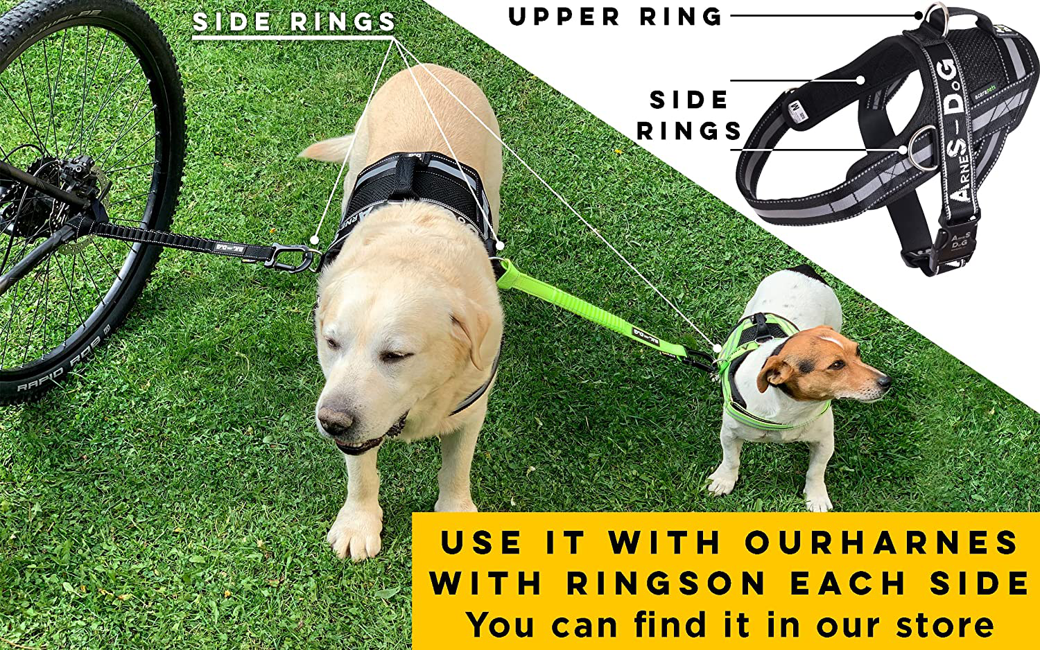 Dog Bike Leash, Hands Free Dog Leashes. Dog Bicycle Lead for Small, Medium and Large Dogs, Designed to Lead One or More Dogs with Maximum Safety, Easy Assembly without Tools. Patented Product. Animals & Pet Supplies > Pet Supplies > Dog Supplies > Dog Treadmills BIKE AND DOG   