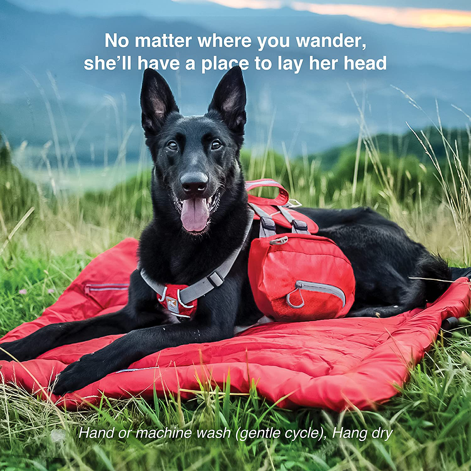 CHEERHUNTING Outdoor Dog Bed, Waterproof, Washable, Large Size, Durable,  Water Resistant, Portable and Camping Travel Pet Mat