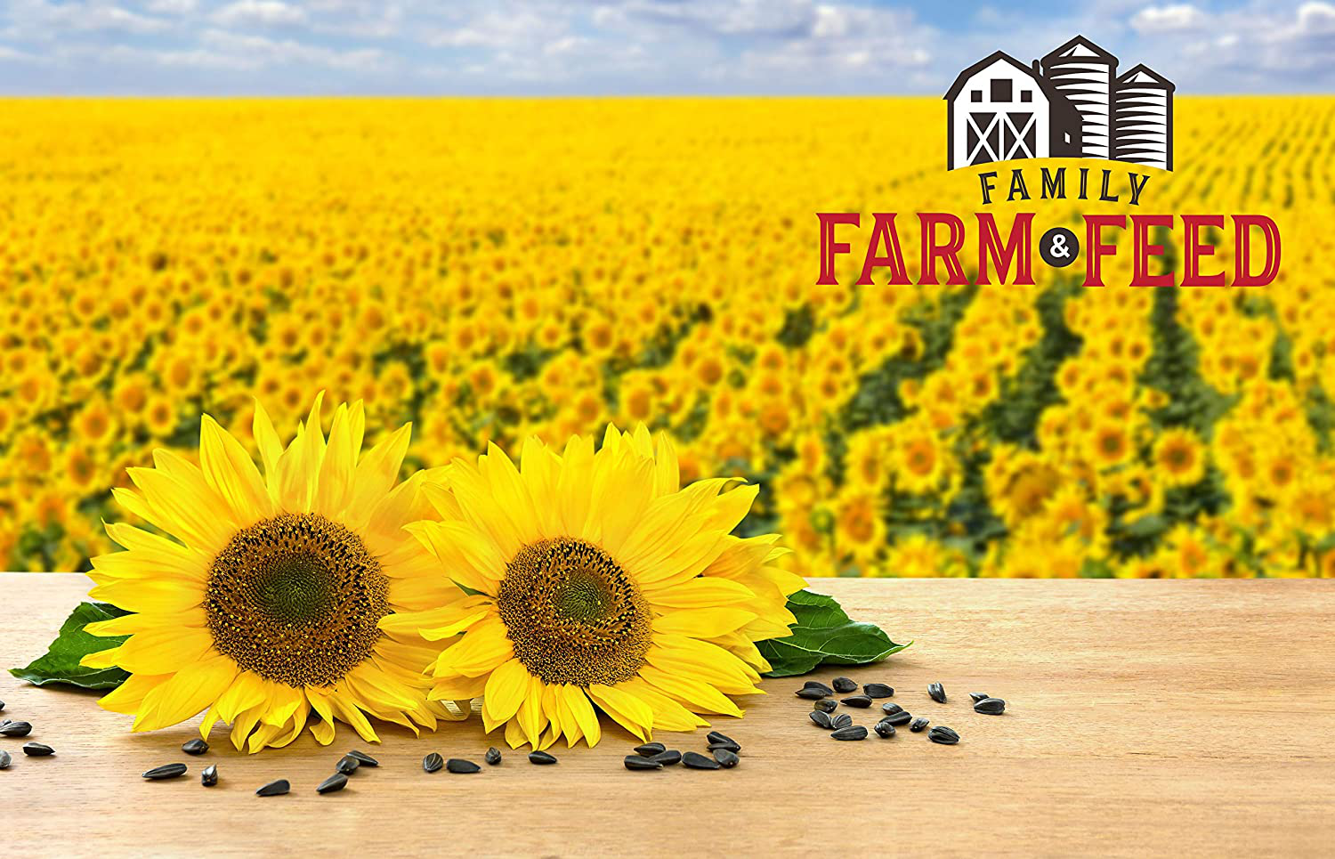 Family Farm and Feed Deluxe Wild Bird Seed Regional Food Variety Bird Food for outside Feeders Four Season Gourmet | Black Oil Sunflowers | Country Mix | Suet Cakes | Peanuts | Cracked Corn | Safflowers | Critter Mix | Nyjer | Fancy City Blend Animals & Pet Supplies > Pet Supplies > Bird Supplies > Bird Food FAMILY FARM AND FEED   