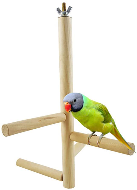 Newooh Bird Cage Stand Parrot Perch Training Stands Playstand Playgound Play Gym for Concures Parakeets Lovebirds Cockatiels Animals & Pet Supplies > Pet Supplies > Bird Supplies > Bird Gyms & Playstands Newooh   