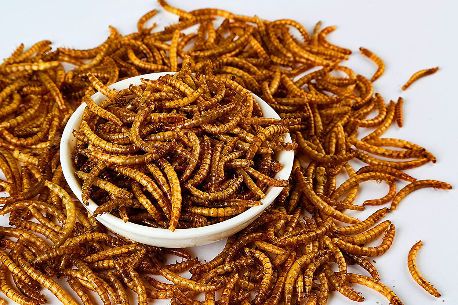 Hatortempt 5 Lbs Non-Gmo Dried Mealworms-High-Protein Mealworms for Wild Bird,Chicken, Ducks,Fish,Reptile, Tortoise, Amphibian,Lizard