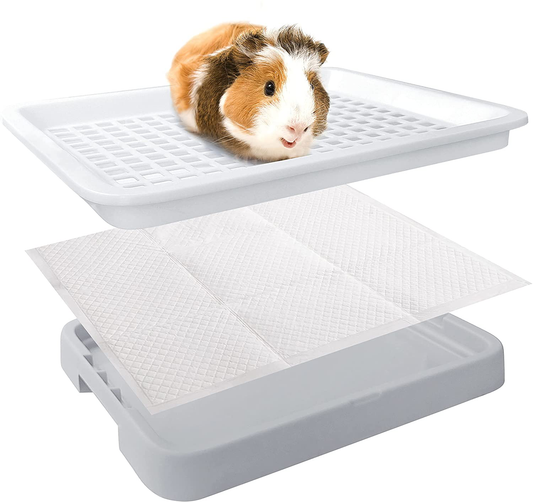 Guinea Pig Toilet, Small Animal Potty Trainer Corner, Square Rat Litter Bedding Box with Small Broom, Dustpan, Small Pet Litter Toilet for Guinea Pigs, Chinchilla, Ferret,Galesaur… Animals & Pet Supplies > Pet Supplies > Small Animal Supplies > Small Animal Bedding Moan&Miao   