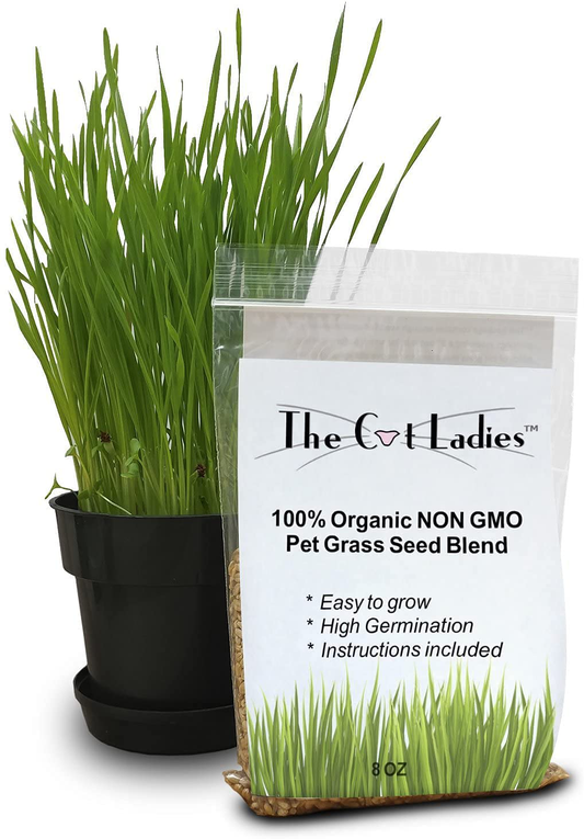 The Cat Ladies 100% Organic Cat Grass Seed (Non GMO) Animals & Pet Supplies > Pet Supplies > Cat Supplies > Cat Treats The Cat Ladies 8 Ounce (Pack of 1)  