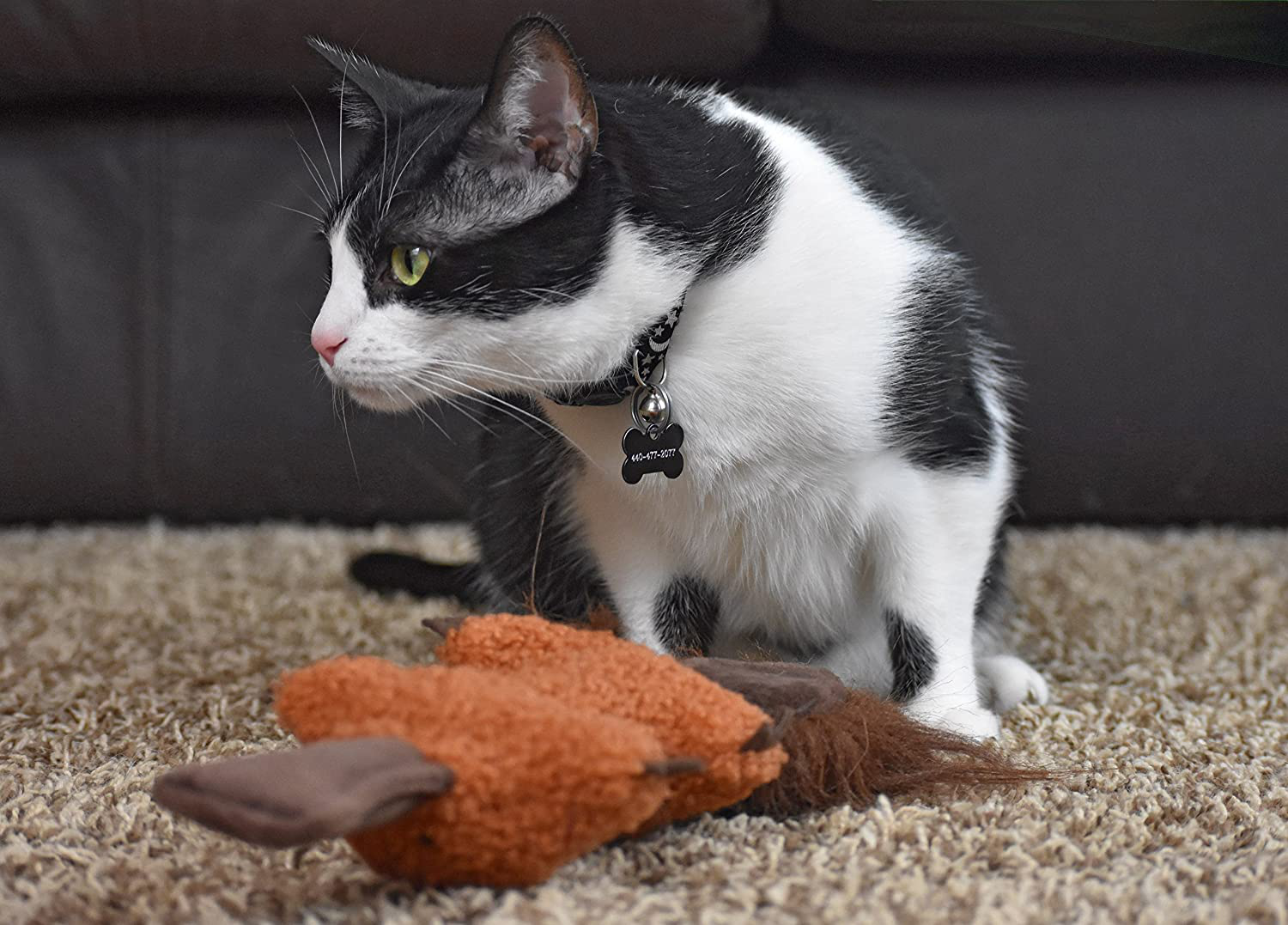 Our Pets SNAG-ABLES Platypus Cat Kicker Cat Toys (Ideal Cat Toys for Indoor Cats for Play & Grooming Nails Just like Cat Scratchers) Great Cat Plush Interactive Cat Toy, Cat Gifts, and Catnip Toys Animals & Pet Supplies > Pet Supplies > Cat Supplies > Cat Toys Our Pets   