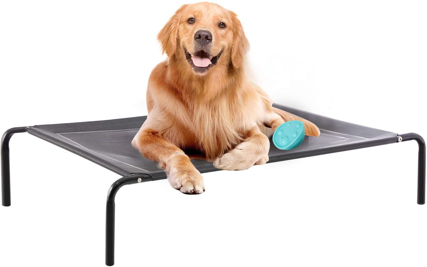 Raised mesh dog deals bed