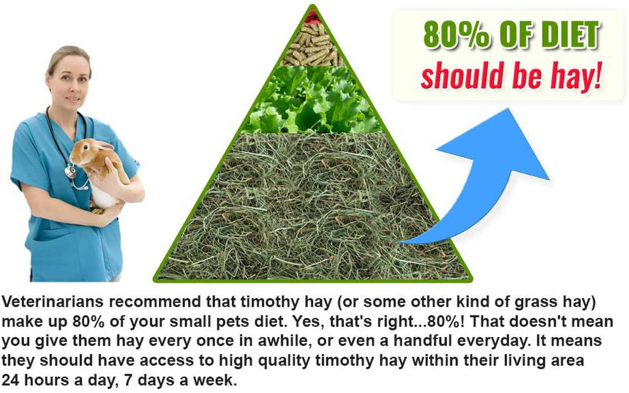 Small Pet Select 3Rd Cutting "Super Soft" Timothy Hay Pet Food