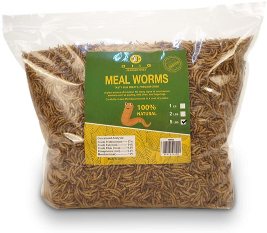 DIIG Non-Gmo Dried Mealworms/Crickets/Black Soldier Fly - Treats for Birds Chickens Hedgehog Hamster Fish Reptile Turtles Animals & Pet Supplies > Pet Supplies > Bird Supplies > Bird Treats DIIG Mealworms 5 LB 