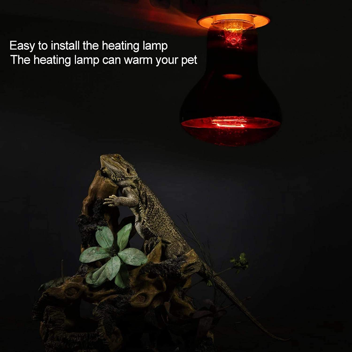 DGE Reptile Basking Spot Bulb, 100 Watt Infrared Basking Spot Lamp of Bearded Dragon, Red Heat Lamp Bulbs for Reptiles and Amphibian Use, 2Packs Animals & Pet Supplies > Pet Supplies > Reptile & Amphibian Supplies > Reptile & Amphibian Substrates DGE   