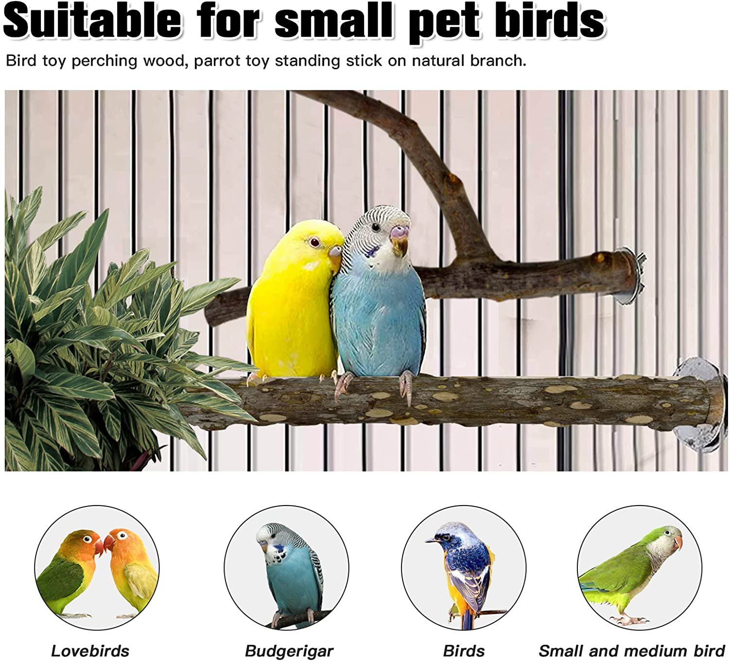 RF-X Bird Toys Perch Wood, Parrot Toys Natural Branch Standing Stick Set of 5, Suitable for Macaws, Budgies, Lovebirds, Finches, Small and Medium Sized Bird Toys Animals & Pet Supplies > Pet Supplies > Bird Supplies > Bird Toys RF-X   