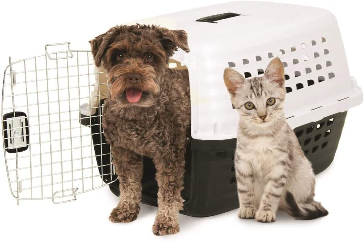 Petmate Compass Plastic Pets Kennel with Chrome Door Animals & Pet Supplies > Pet Supplies > Dog Supplies > Dog Kennels & Runs Doskocil   