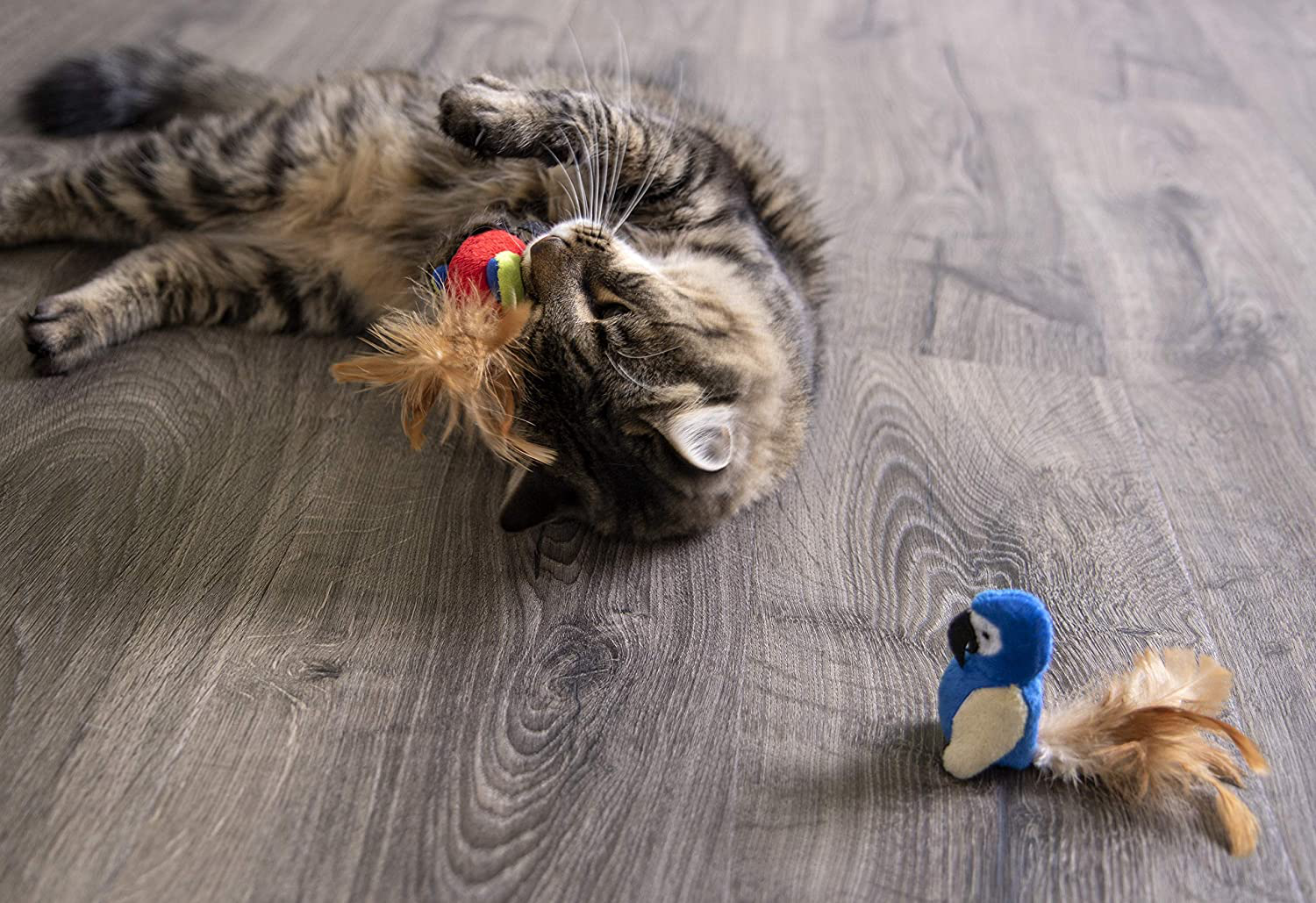 Petlinks Electronic Sound Cat Toy Animals & Pet Supplies > Pet Supplies > Bird Supplies > Bird Toys Petlinks   