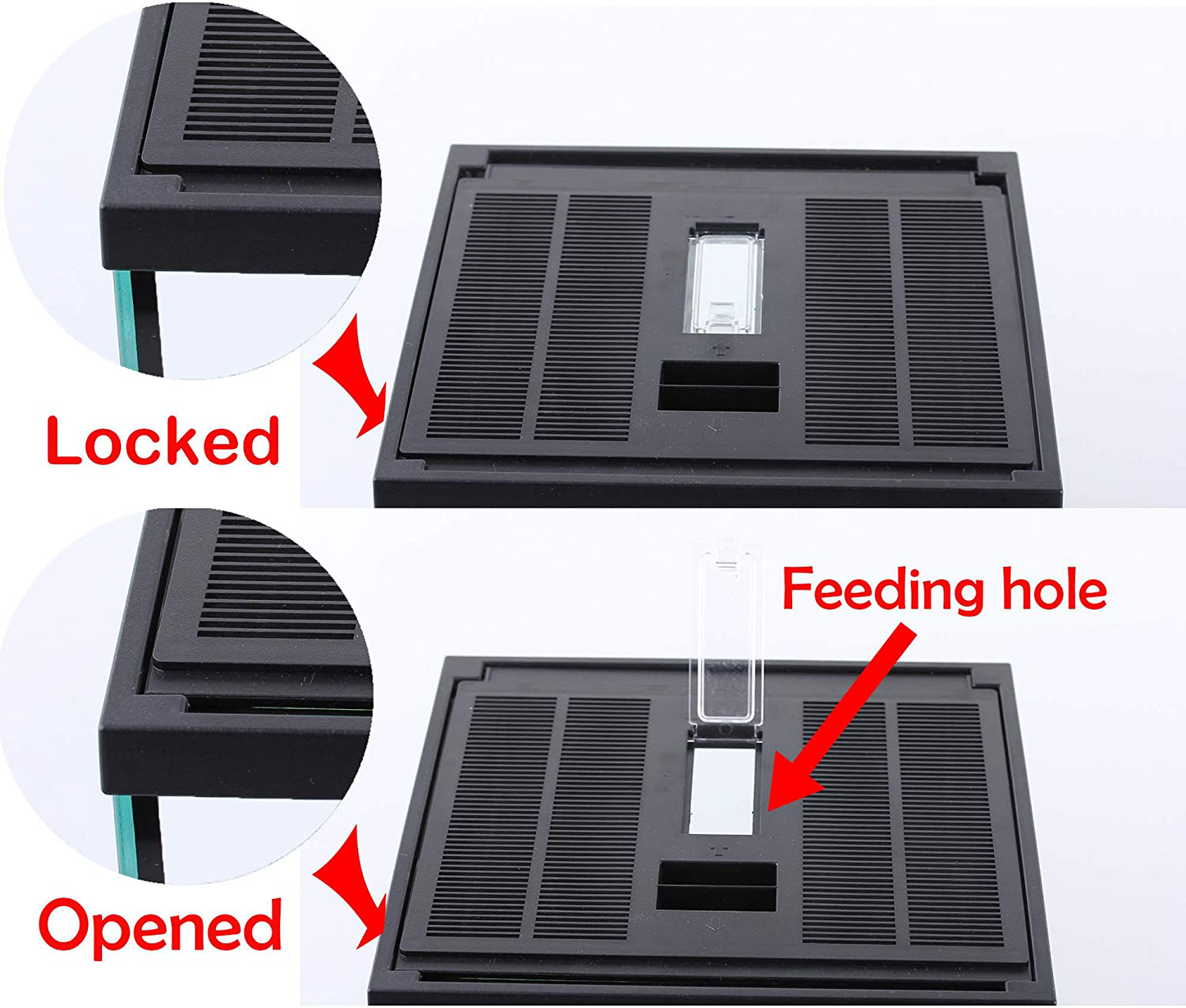 Crapelles Pac Frogs Glass Terrarium Feeding Kit Tank, Waterproof,For Small Amphibians, Insect, Horned Frogs. Waterweed / Prairie Style Habitat,With Green Artificial Turf Pad, (Excluding Animals) Animals & Pet Supplies > Pet Supplies > Reptile & Amphibian Supplies > Reptile & Amphibian Substrates crapelles   