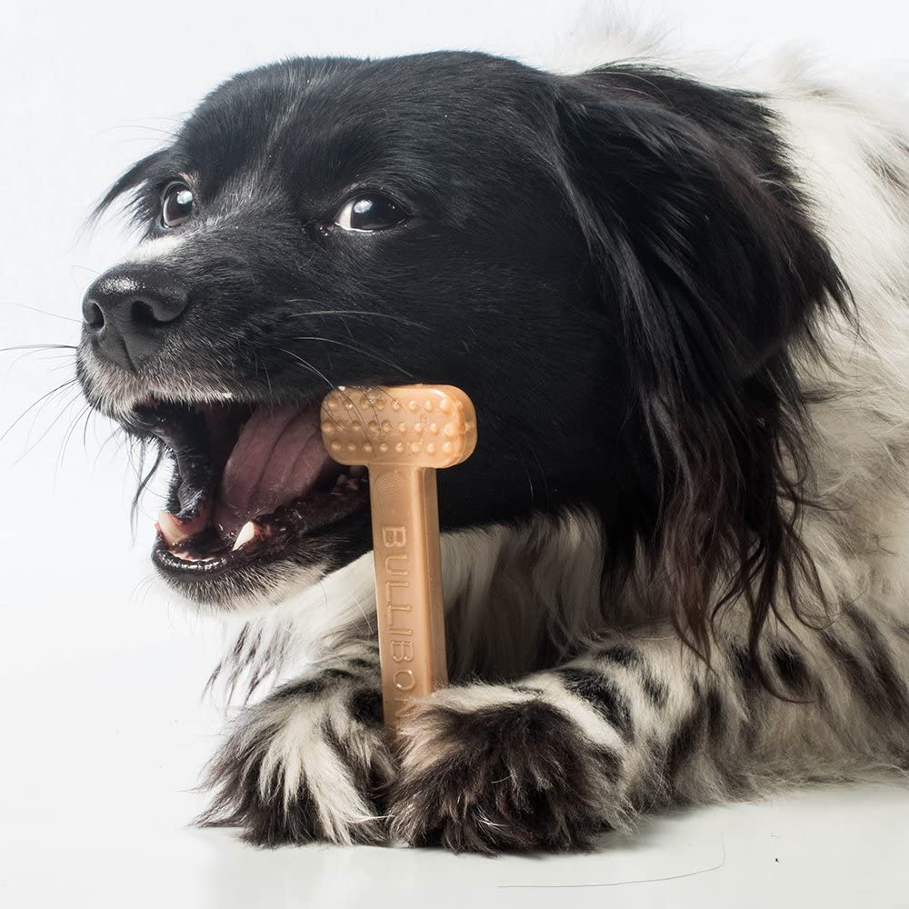Bullibone Nylon Dog Chew Toy Nylon Bone - Improves Dental Hygiene, Easy to Grip Bottom, and Permeated with Flavor Animals & Pet Supplies > Pet Supplies > Dog Supplies > Dog Toys Bullibone   