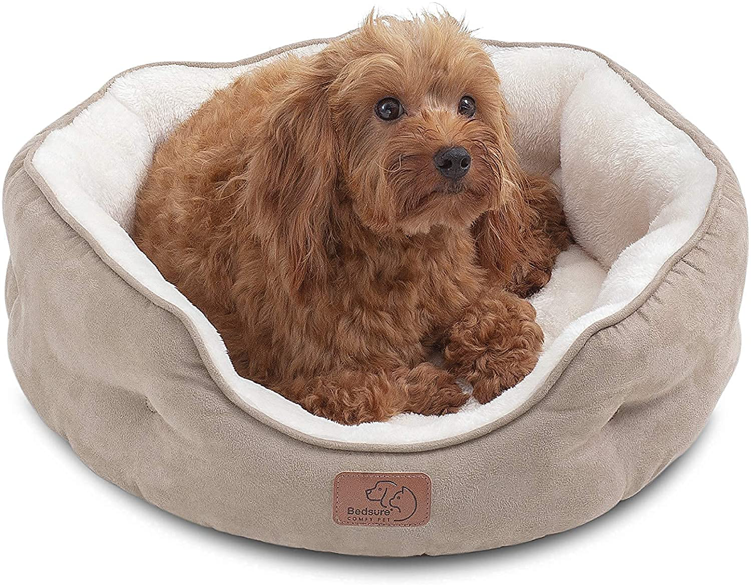 Bedsure Small Dog Bed for Small Dogs Washable - round Cat Beds for Indoor Cats, round Pet Bed for Puppy and Kitten with Slip-Resistant Bottom, 20 Inches Animals & Pet Supplies > Pet Supplies > Dog Supplies > Dog Beds Bedsure   
