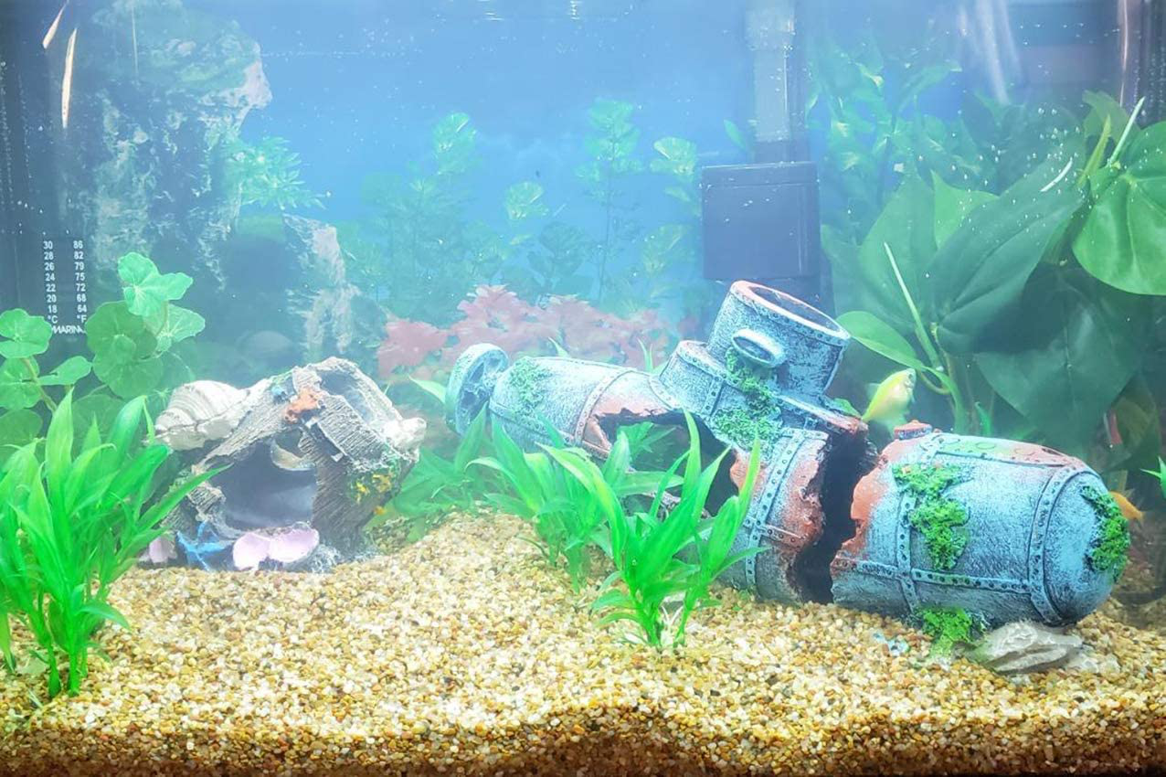 SLOCME Aquarium Broken Barrel with Conch Decorations - Betta Cave Hideout Fish Tank Barrel Ornament Animals & Pet Supplies > Pet Supplies > Fish Supplies > Aquarium Decor SLOCME   