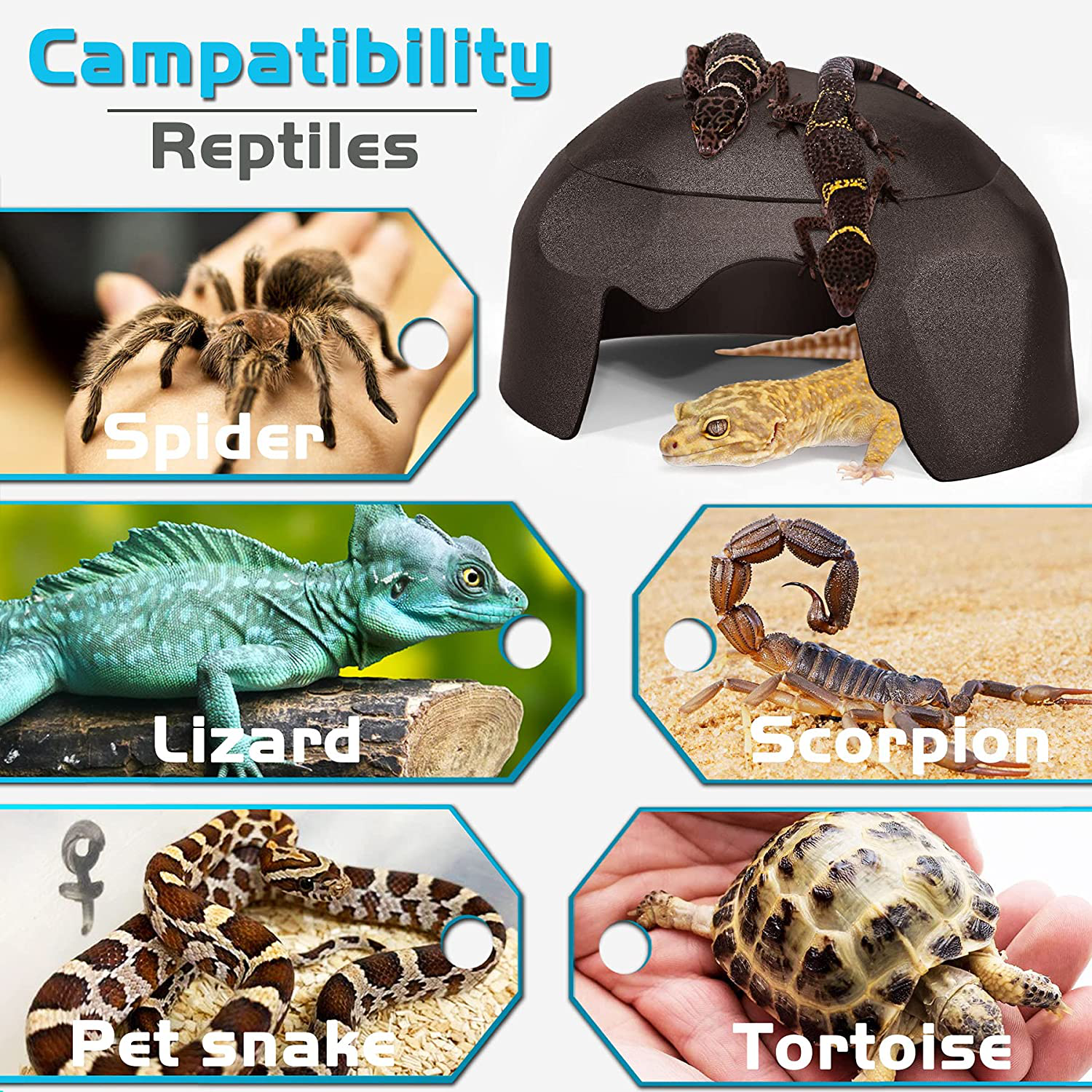 Fischuel Reptile Hides Humidification Cave Help Your Pets Shedding, a Damp Hideout with Natural Rock Designto, Suitable for Bearded Dragons Lizards Leopard Gecko Spiders Turtles and Snakes Animals & Pet Supplies > Pet Supplies > Reptile & Amphibian Supplies > Reptile & Amphibian Habitat Heating & Lighting Fischuel   