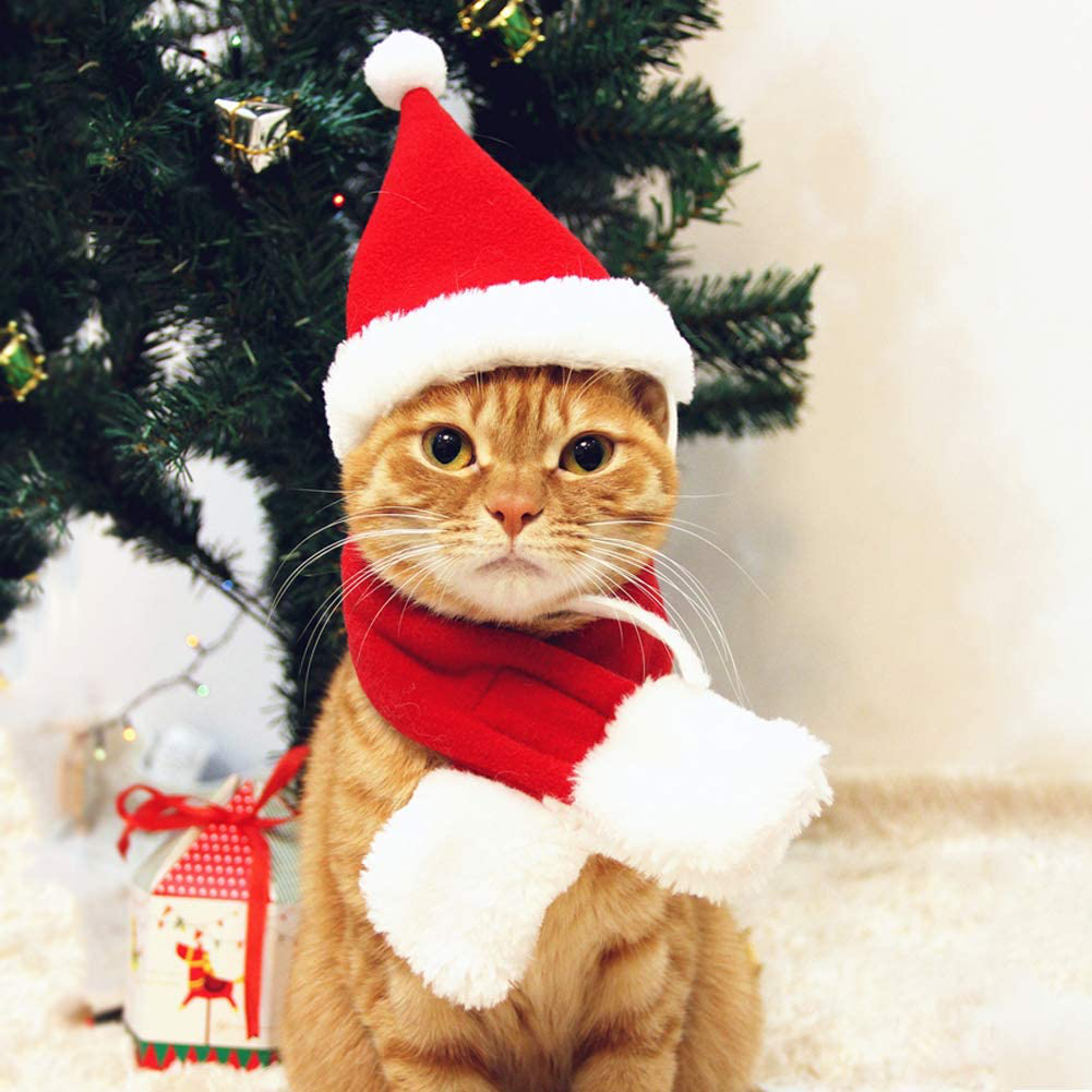 PETLESO Cat Santa Hat with Scarf -Christmas Costume Set Puppy Dog Cat Santa Hat Animals & Pet Supplies > Pet Supplies > Dog Supplies > Dog Apparel PETLESO Christmas hat  