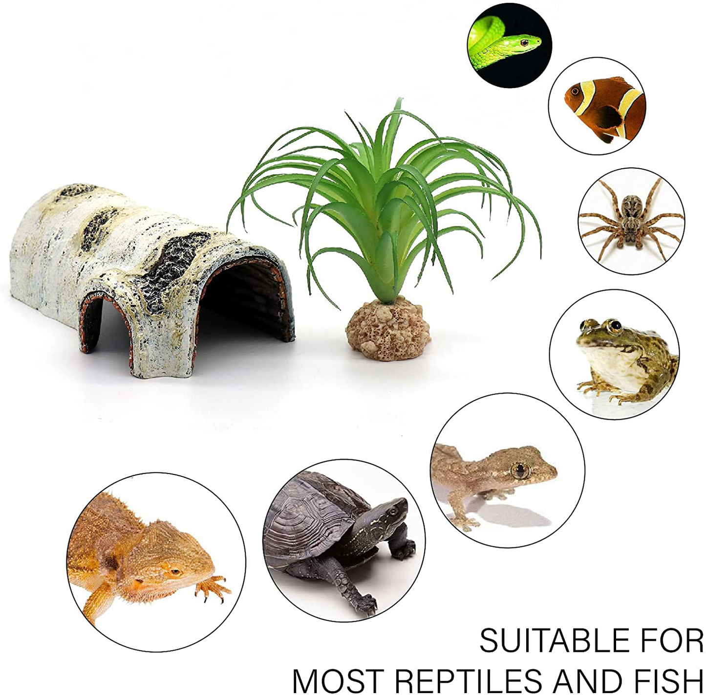 Reptile Hides and Caves Birch Tree Bark Trunk Habitats Decor Aquarium Decoration Wood for Lizard Geckos Snake Spiders Frogs Turtle