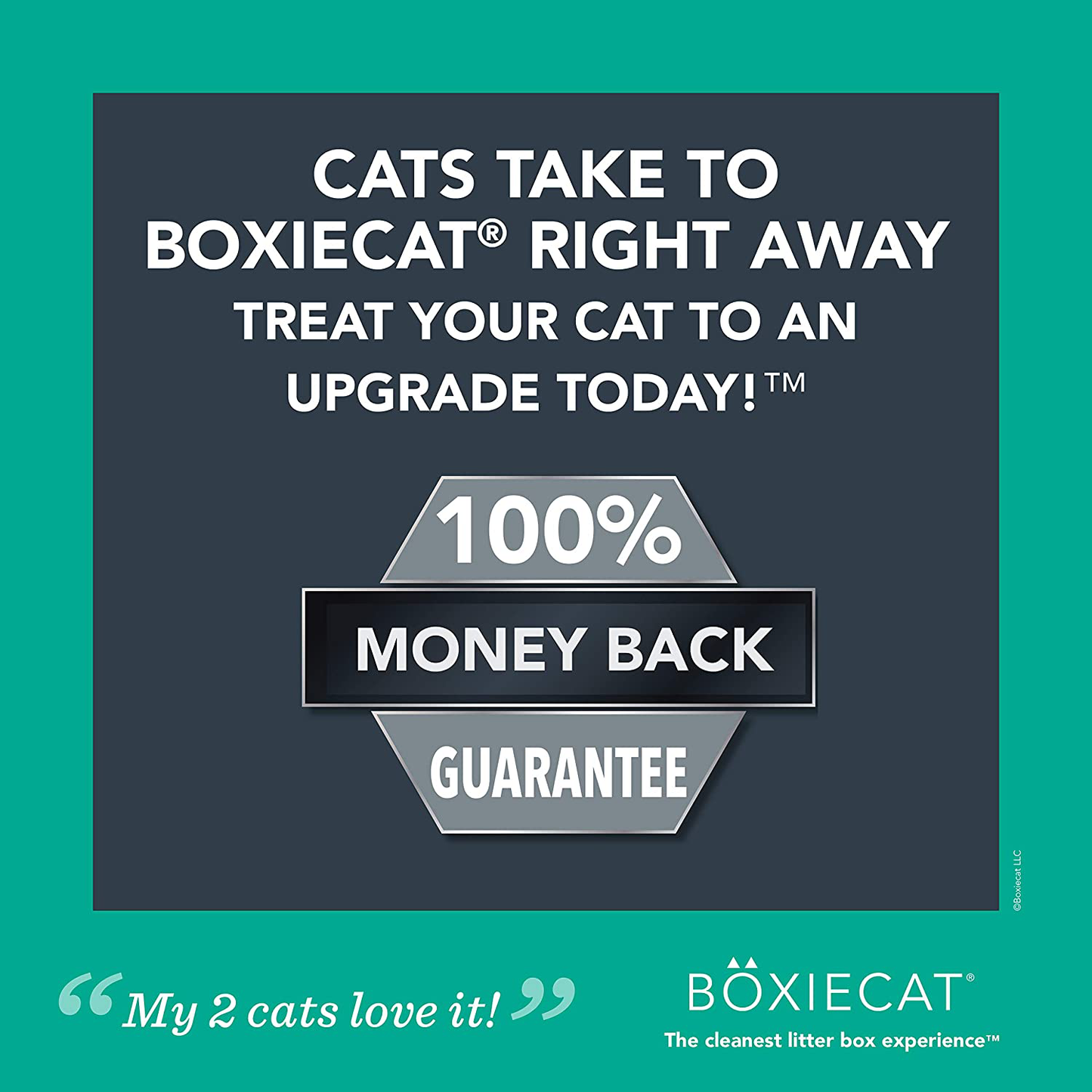 Boxiecat Gently Scented Premium Clumping Cat Litter - Clay Formula - Ultra Clean Litter Box, Longer Lasting Odor Control, Hard Clumping Litter, 99.9% Dust Free Animals & Pet Supplies > Pet Supplies > Cat Supplies > Cat Litter Boxiecat   