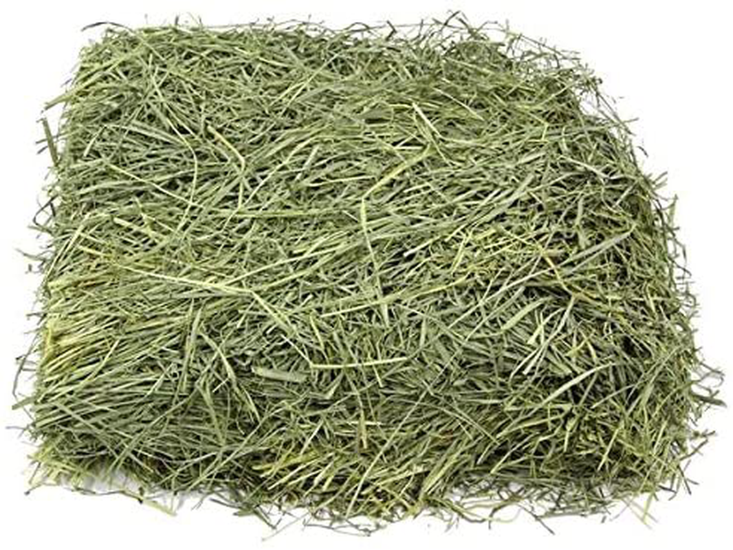 KMS Hayloft Premium Bluegrass Hay for Small Animals …