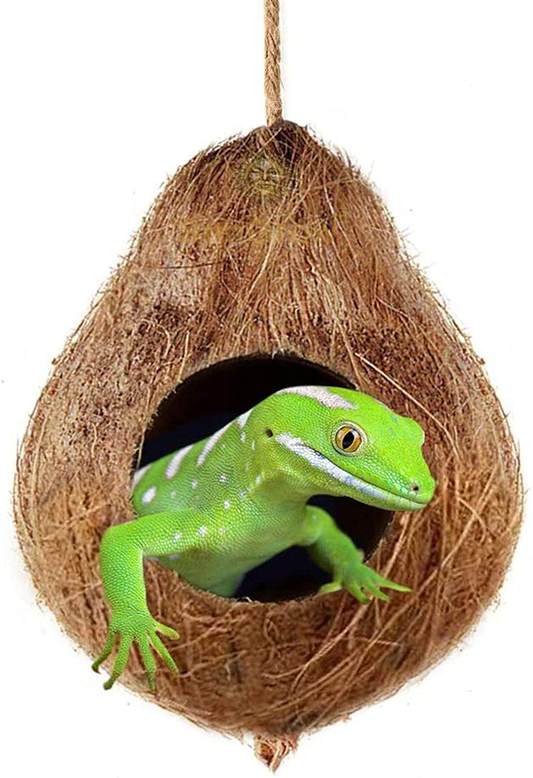 Crested Gecko Coco Hut, Treat & Food Dispenser, Climbing Porch, Hiding, 4.5” round Coconut Shell with 2.5” Opening, Ideal for Reptiles, Amphibians Animals & Pet Supplies > Pet Supplies > Reptile & Amphibian Supplies > Reptile & Amphibian Habitats SunGrow   