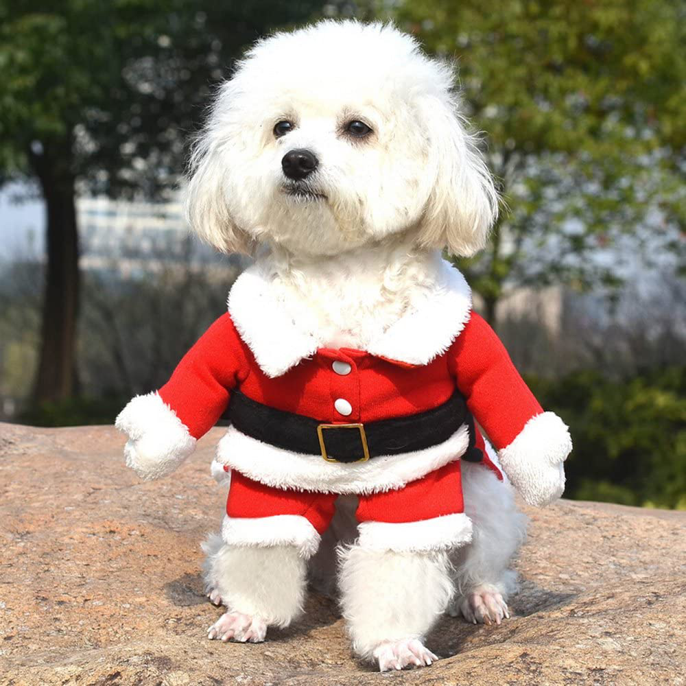 Puppy santa outfit clearance