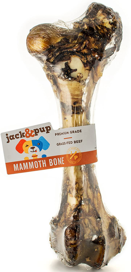 Jack&Pup Premium Grade Roasted Meaty Beef Mammoth Femur Bone Dog Treat - 16” Giant Dog Bone - All Natural Gourmet Dog Treat Chew – Savory Smoked Beef Flavor Animals & Pet Supplies > Pet Supplies > Small Animal Supplies > Small Animal Treats Jack & Pup   