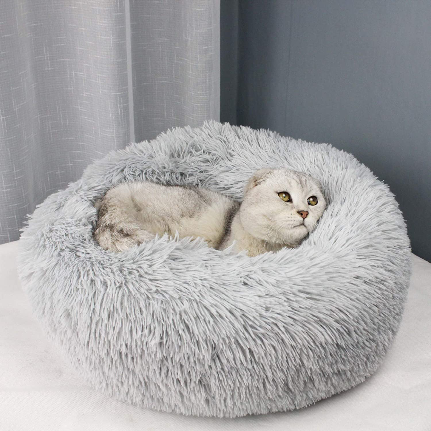 BODISEINT Modern Soft Plush round Pet Bed for Cats or Small Dogs, Mini Medium Sized Dog Cat Bed Self Warming Autumn Winter Indoor Snooze Sleeping Cozy Kitty Teddy Kennel (M(23.6”Dx7.9 H), Light Grey) Animals & Pet Supplies > Pet Supplies > Cat Supplies > Cat Beds BODISEINT   