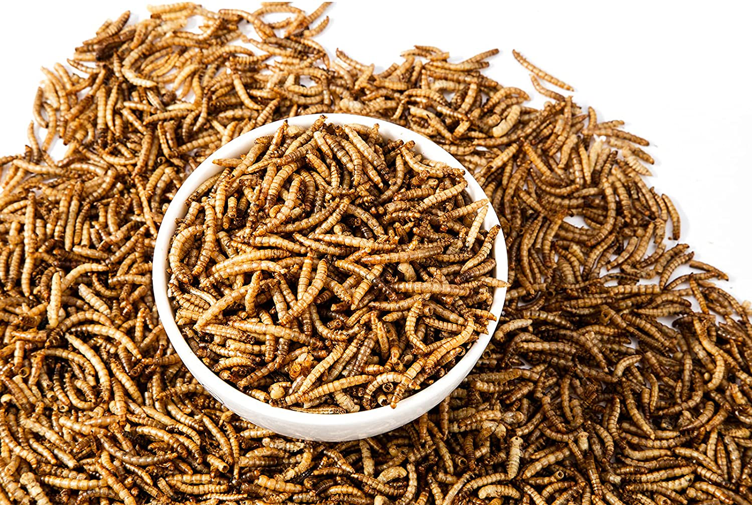 RANZ 5LB & 10LB Non-Gmo Dried Mealworms for Chicken Feed, High Protein Mealworm Treats, Best for Wild Birds, Ducks, Hens, Fish, Reptiles & Amphibian.