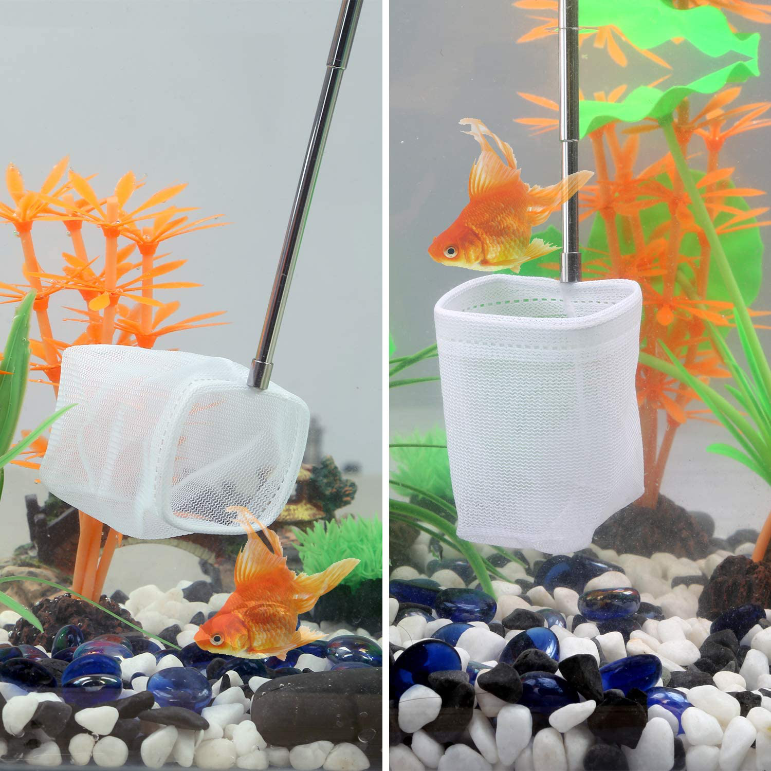 Carefree Fish Aquarium Stainless Steel Small Fishing Net Extendable Handle Shrimp Net Soft Light Tiny Net Fish Tank Cleaner Long Handle(Please Note the Size of the Product) Animals & Pet Supplies > Pet Supplies > Fish Supplies > Aquarium Fish Nets Carefree Fish   