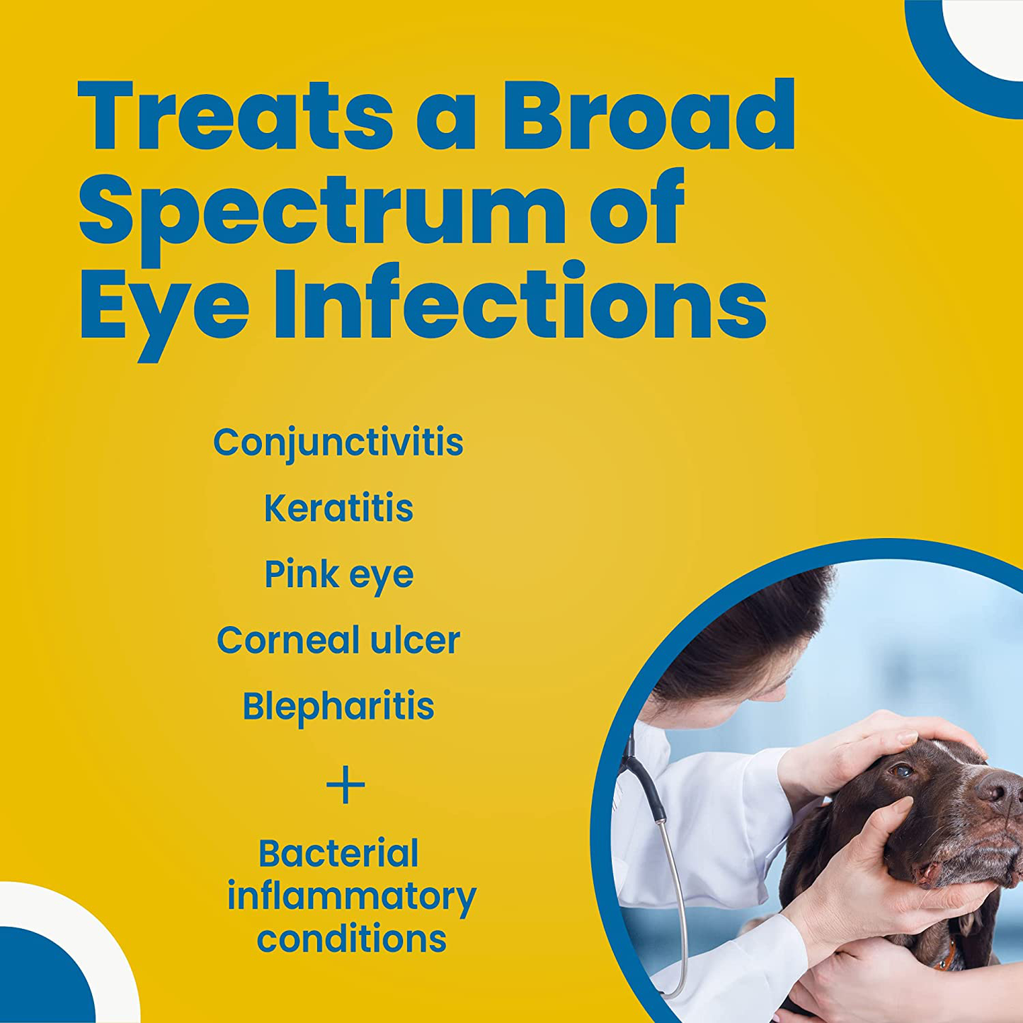 Terramycin Antibiotic Ointment for Eye Infection Treatment in Dogs, Cats, Cattle, Horses, and Sheep, 0.125Oz Tube Animals & Pet Supplies > Pet Supplies > Bird Supplies > Bird Treats Terramycin   