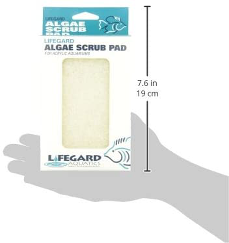 Lifegard Aquatics 4-Inch by 6-Inch White Algae Pad Animals & Pet Supplies > Pet Supplies > Fish Supplies > Aquarium Cleaning Supplies Lifegard   