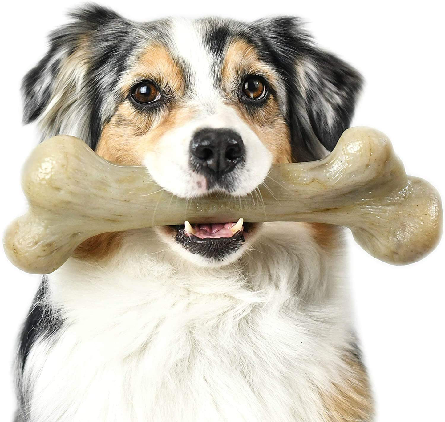 Pet Qwerks Extreme Dinosaur Barkbone Dog Chew Toy Animals & Pet Supplies > Pet Supplies > Dog Supplies > Dog Toys Pet Qwerks   